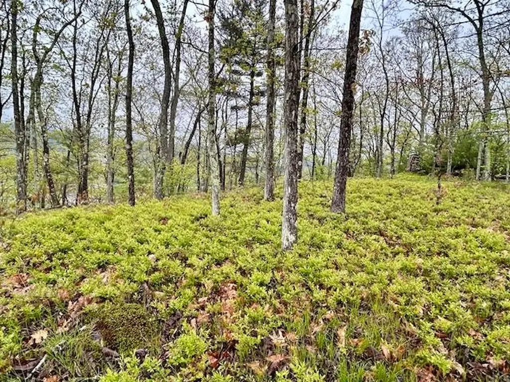 Map 27 Lot 5 Church Street Walpole NH 03608