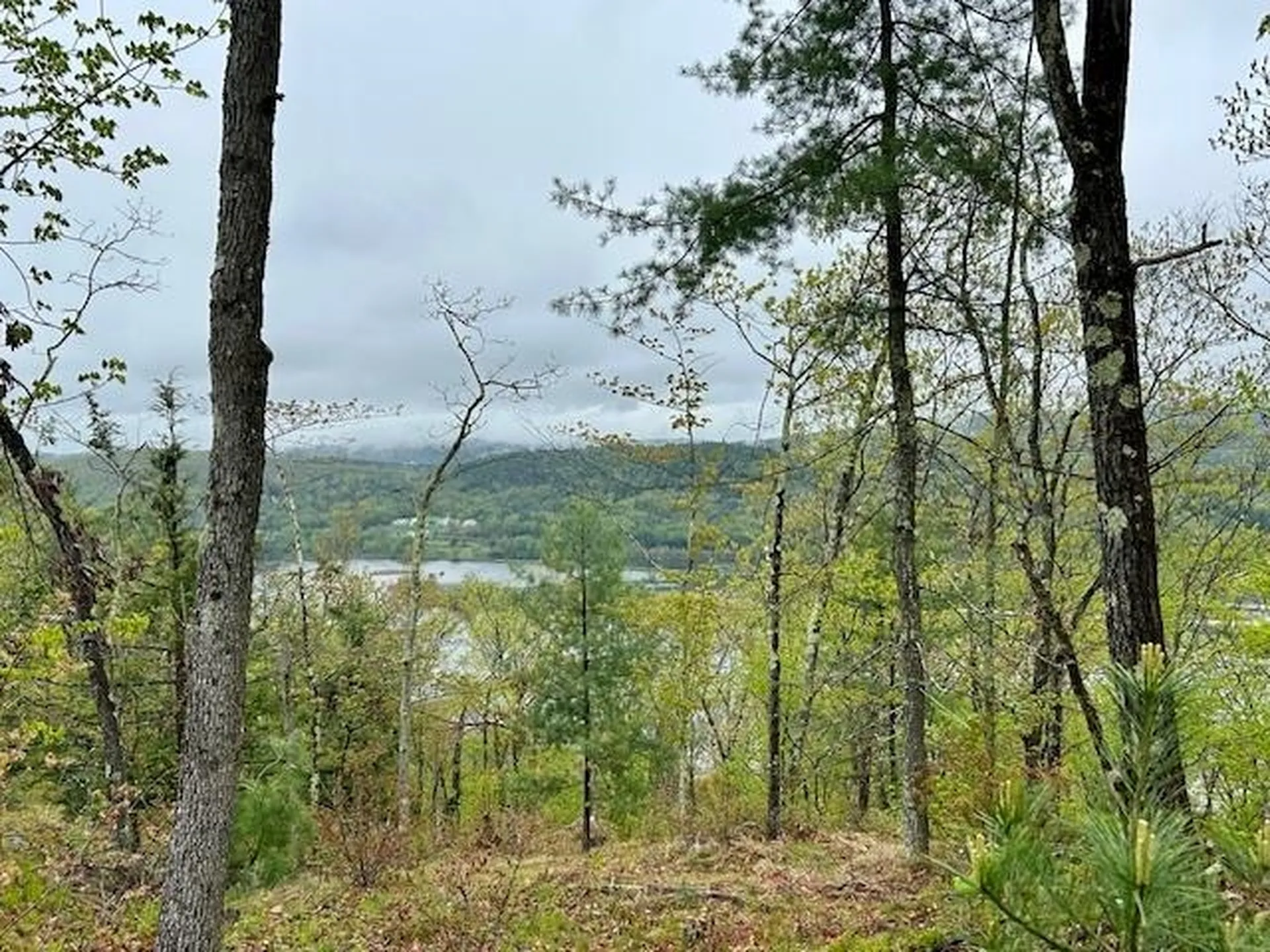 Map 27 Lot 5 Church Street Walpole NH 03608