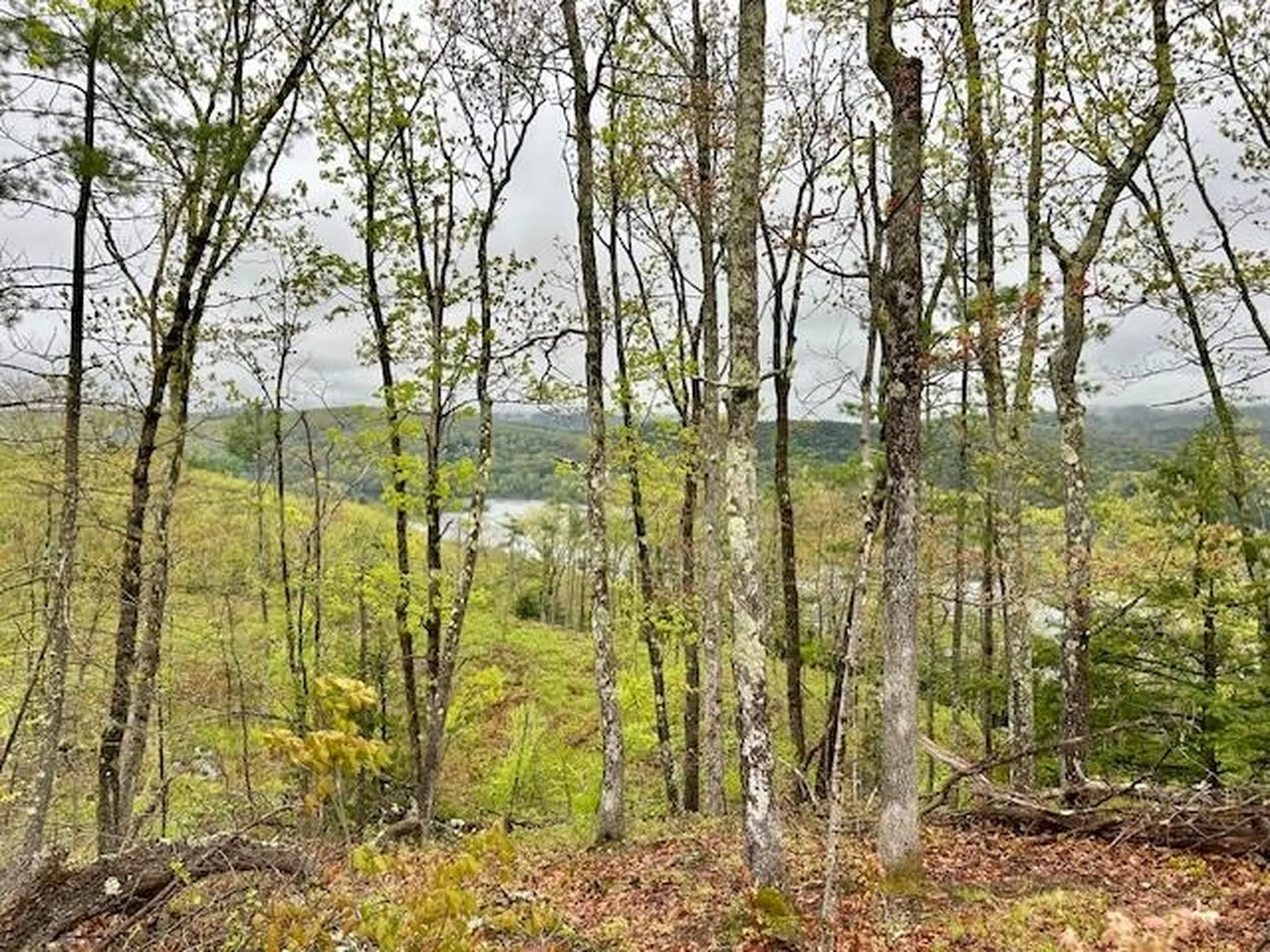 Map 27 Lot 5 Church Street Walpole NH 03608