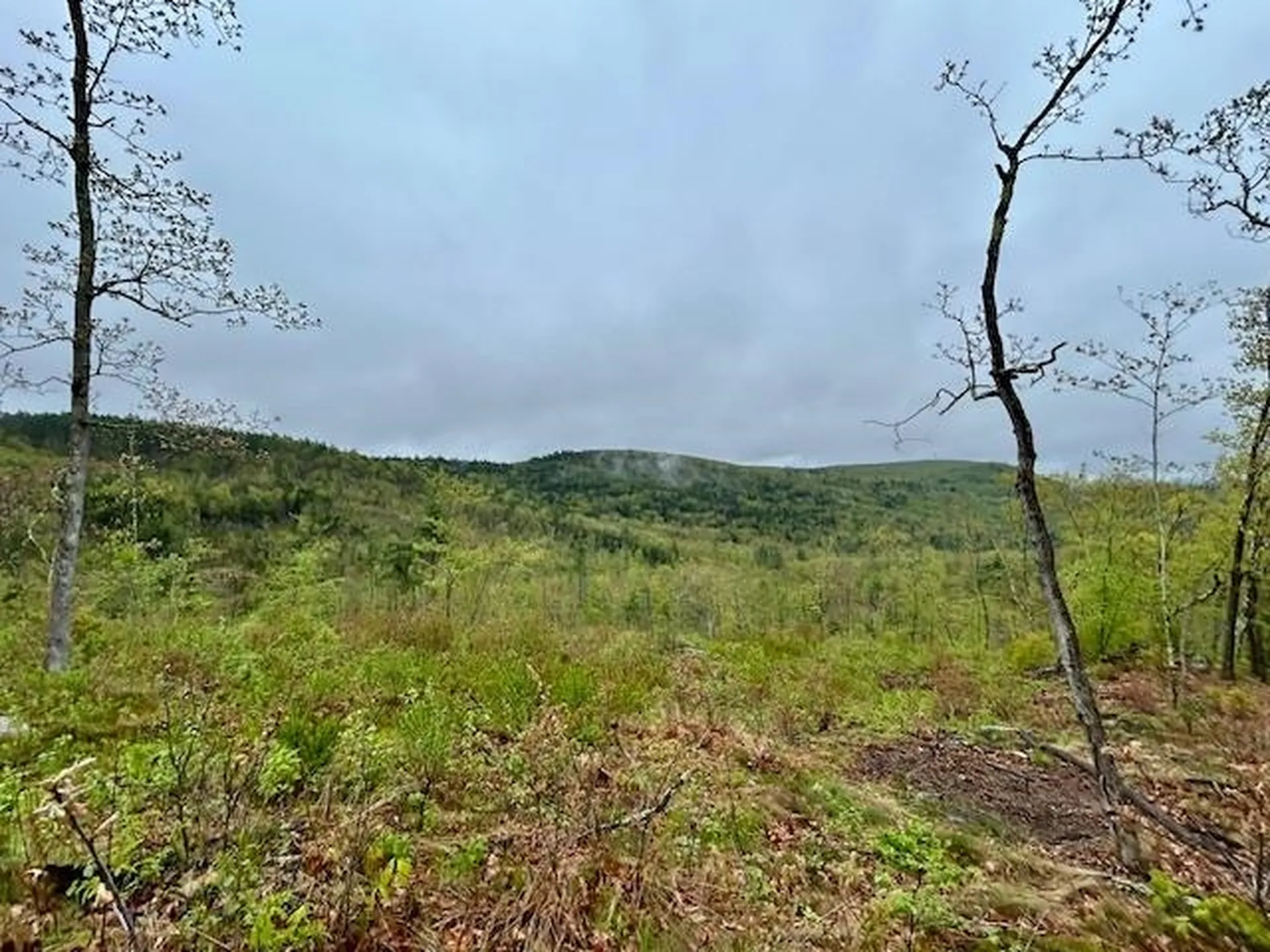 Map 27 Lot 5 Church Street Walpole NH 03608