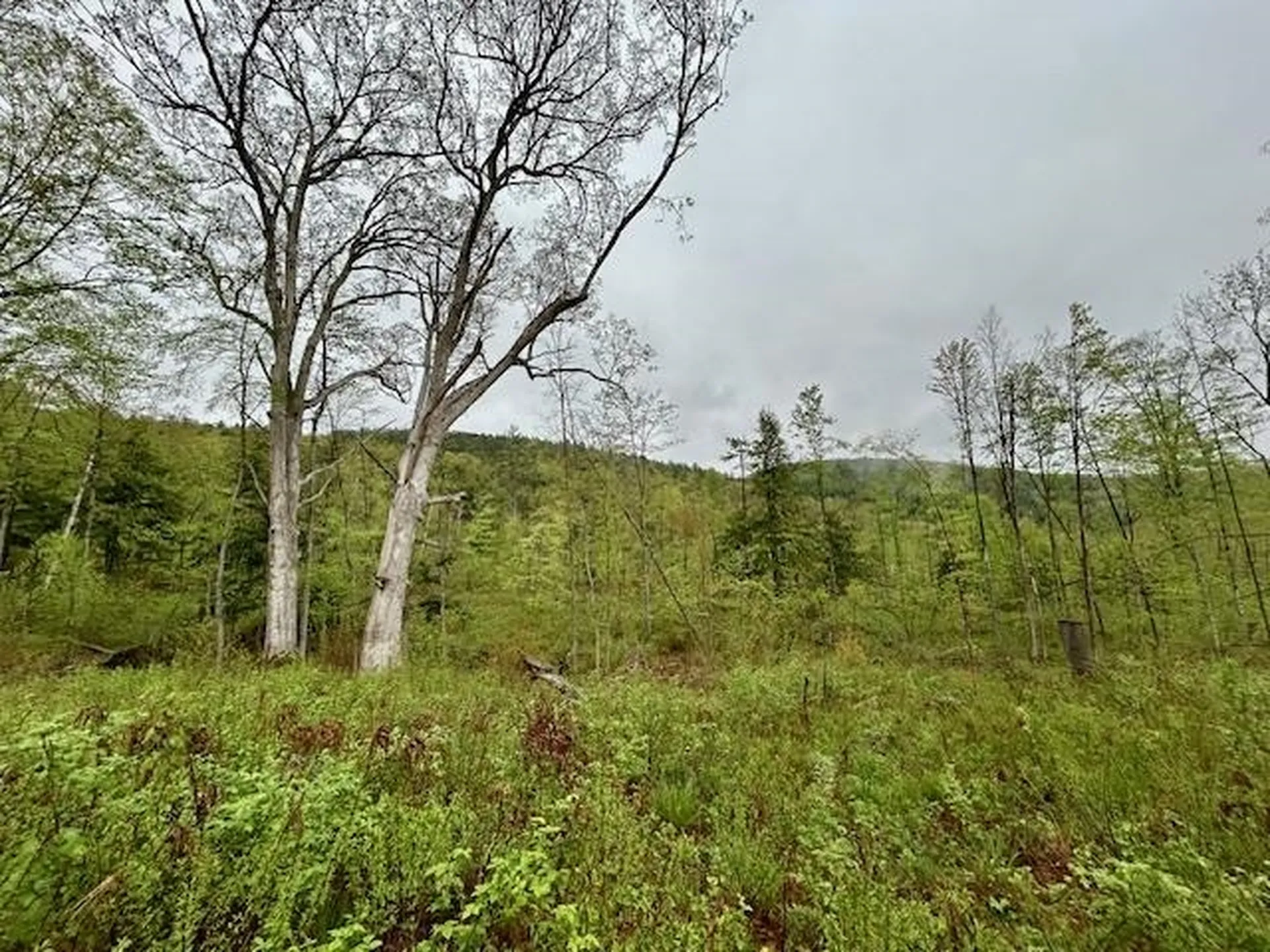 Map 27 Lot 5 Church Street Walpole NH 03608