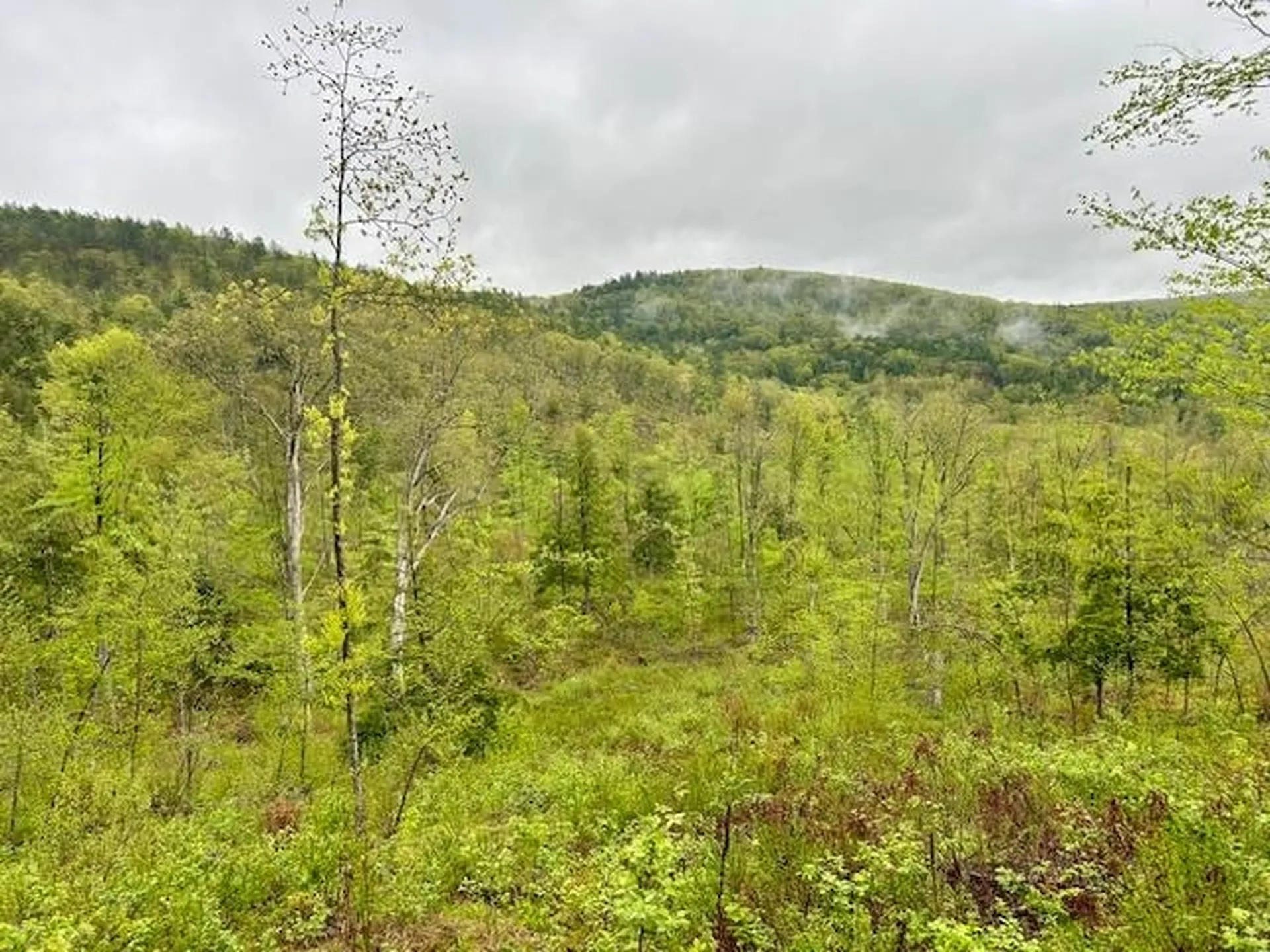 Map 27 Lot 5 Church Street Walpole NH 03608