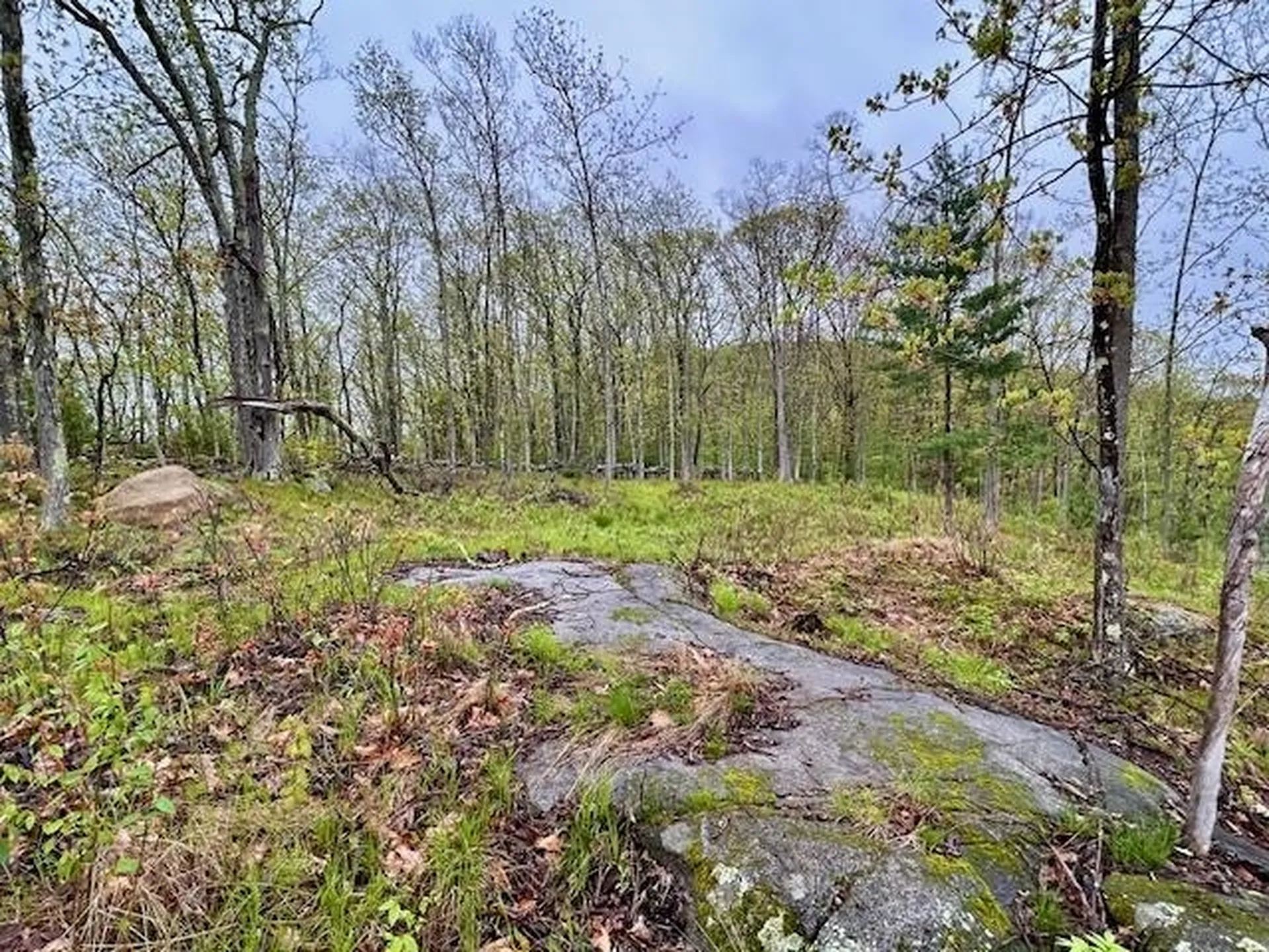 Map 27 Lot 5 Church Street Walpole NH 03608