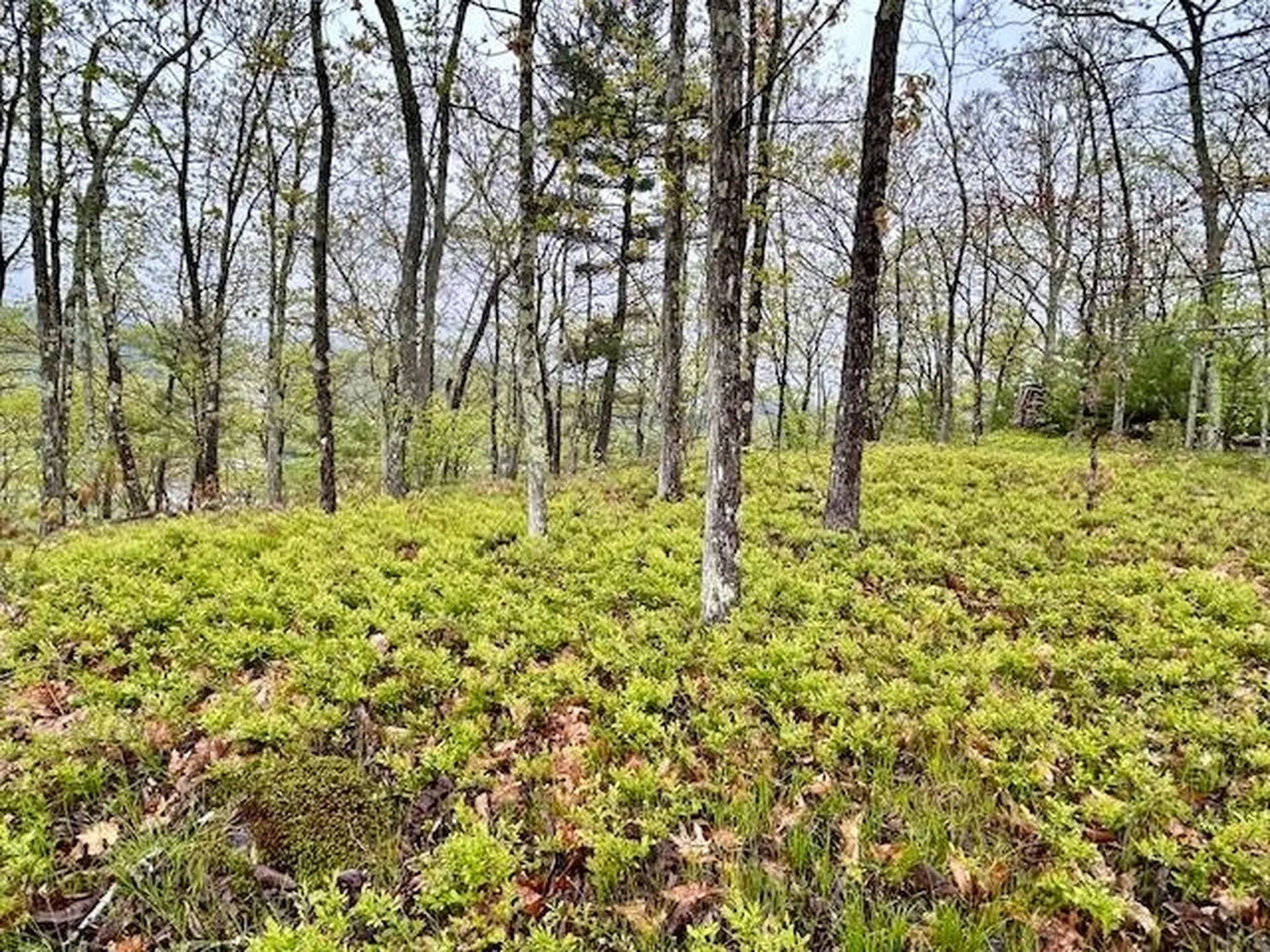 Map 27 Lot 5 Church Street Walpole NH 03608