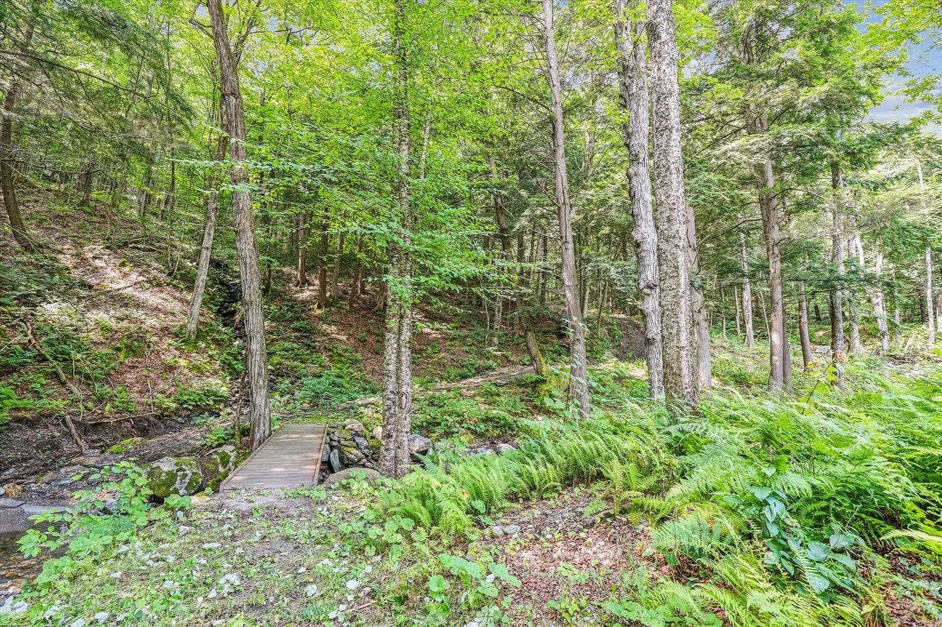 249 Falls Brook Lane Stowe VT 05672
