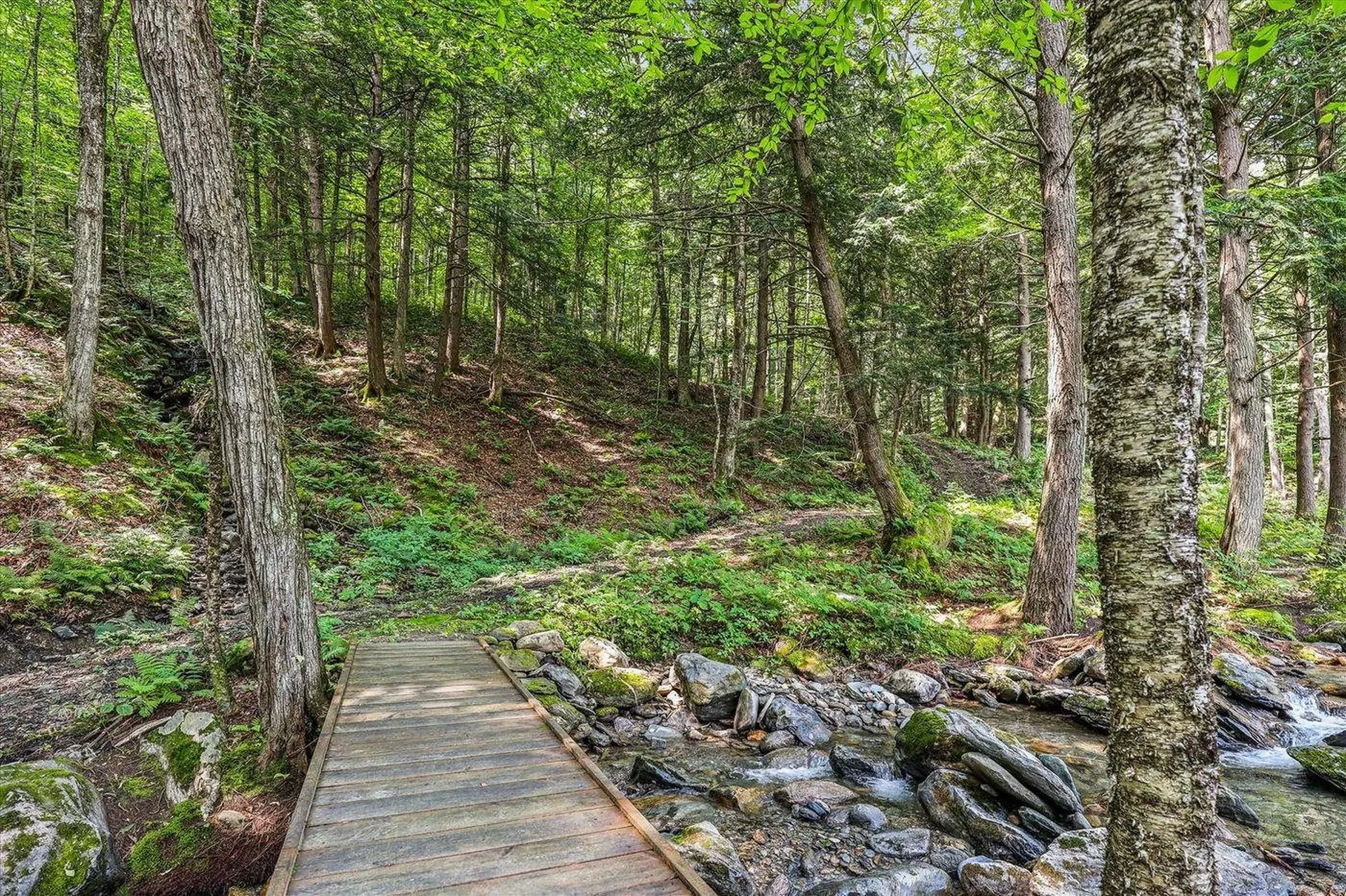 249 Falls Brook Lane Stowe VT 05672