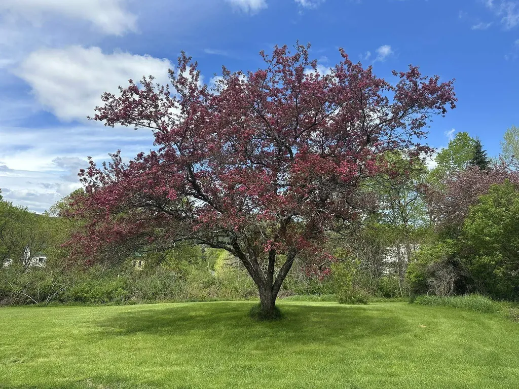 755 Mackville Road Hardwick VT 05843