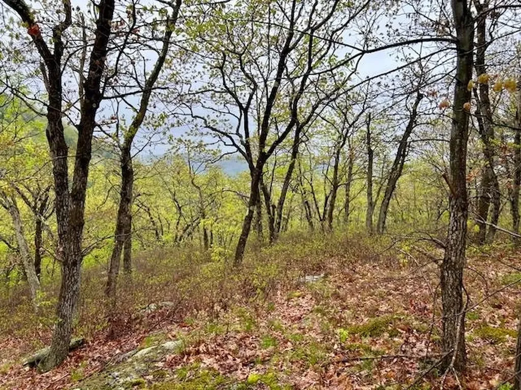 0 Off Langdon Road Charlestown NH 03603