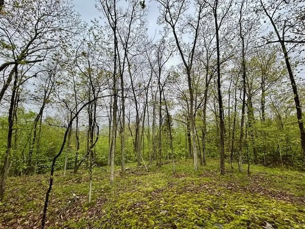 0 Off Langdon Road Charlestown NH 03603