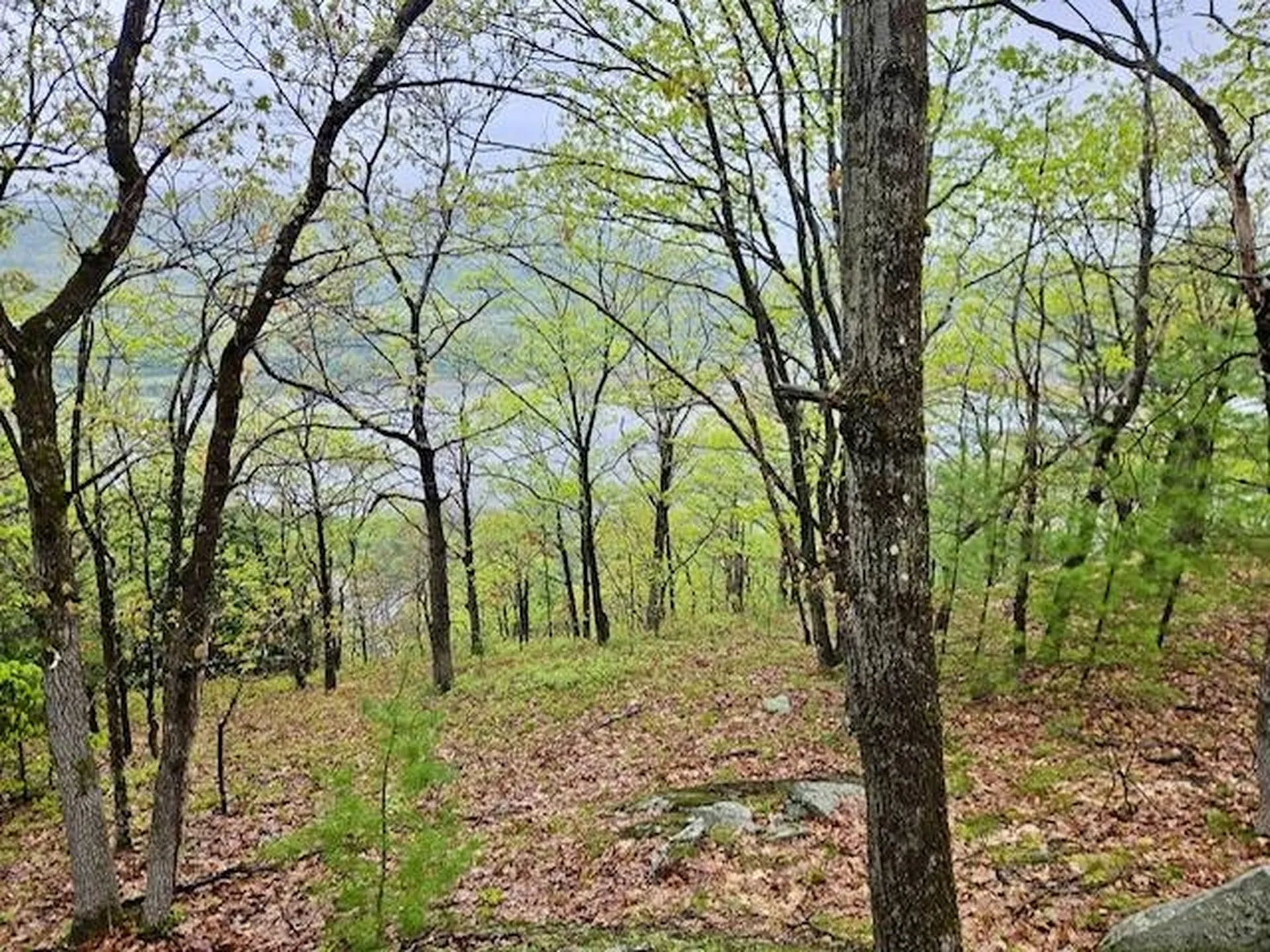 0 Off Langdon Road Charlestown NH 03603