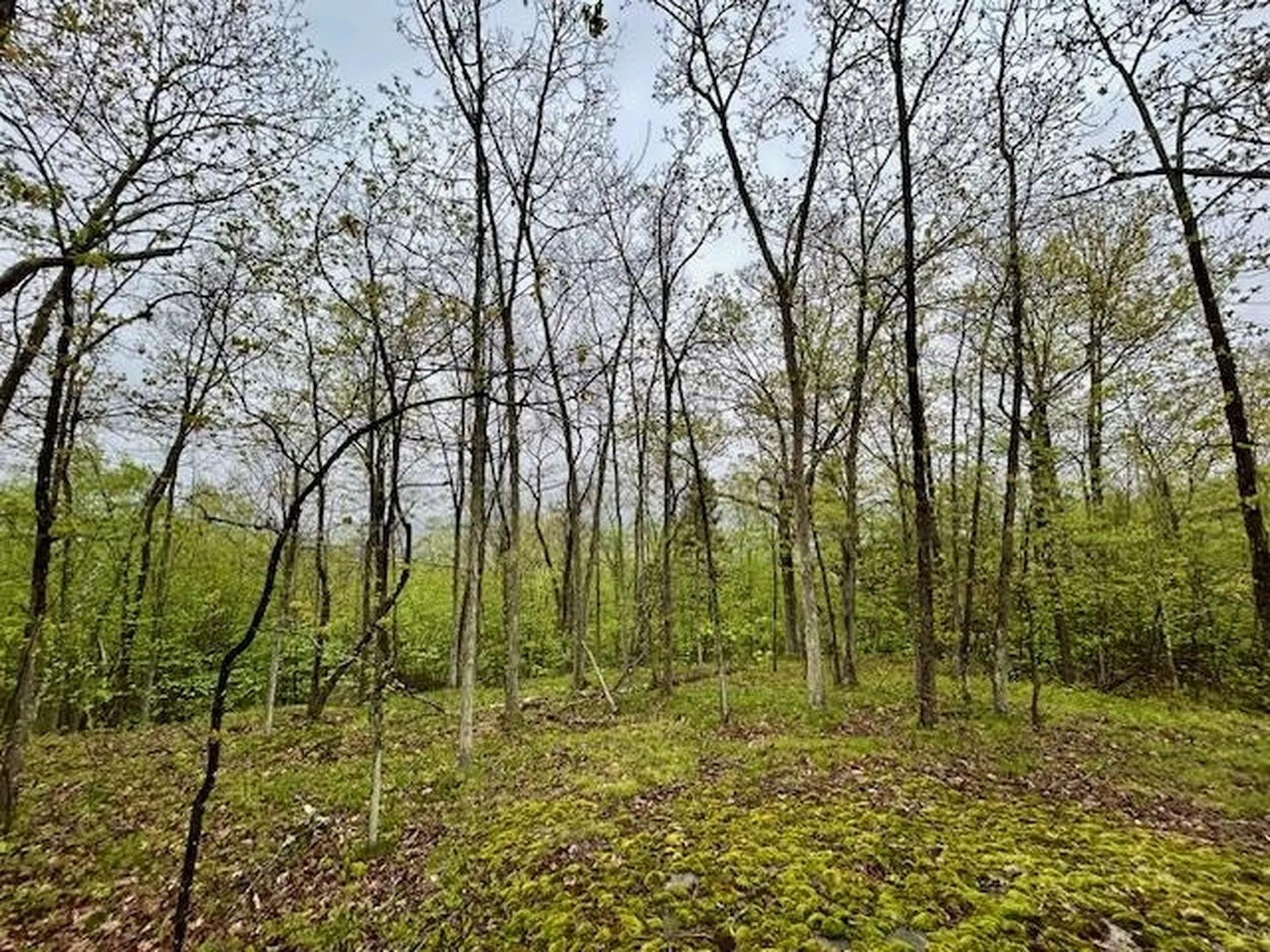 0 Off Langdon Road Charlestown NH 03603