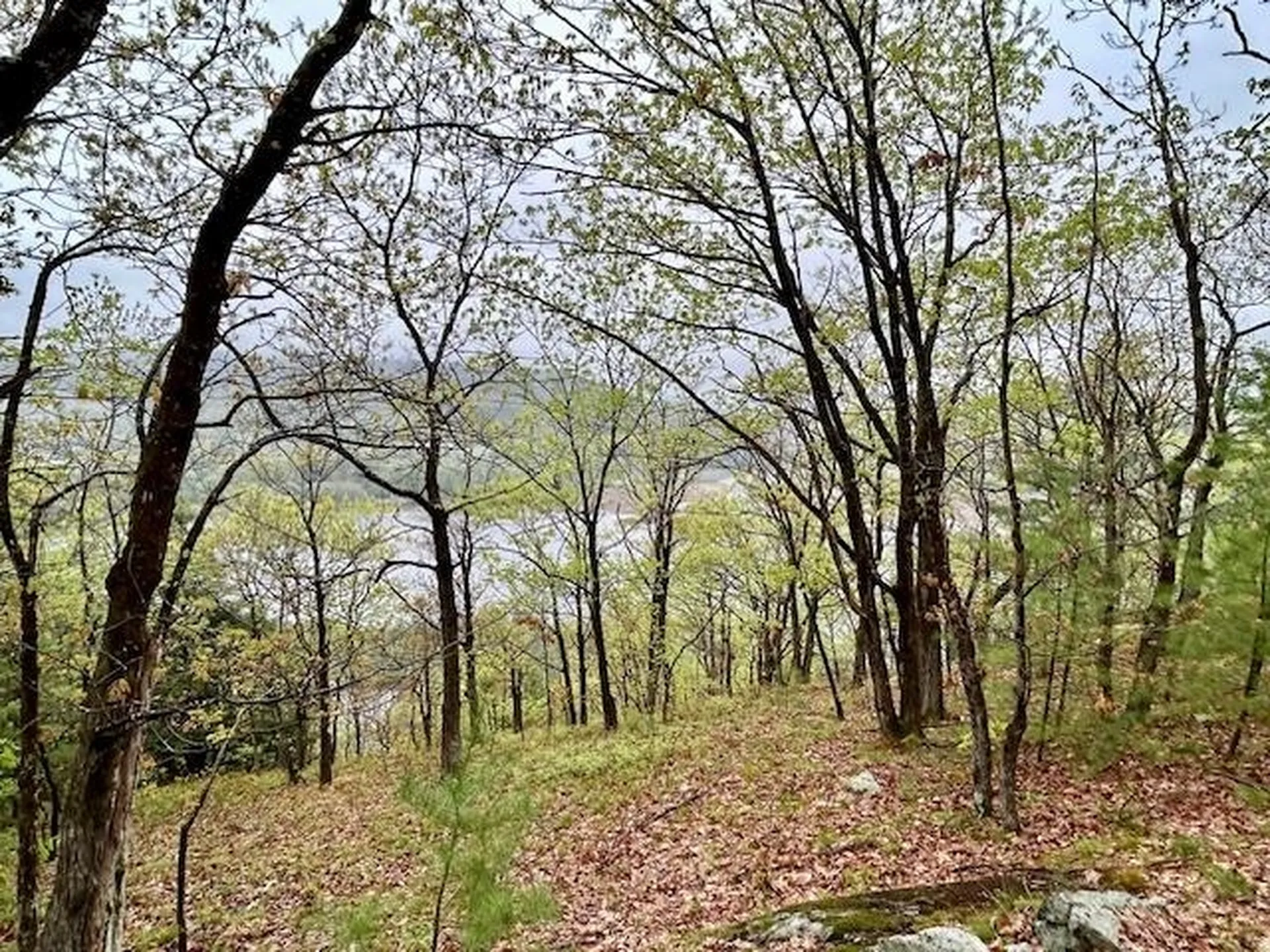 0 Off Langdon Road Charlestown NH 03603