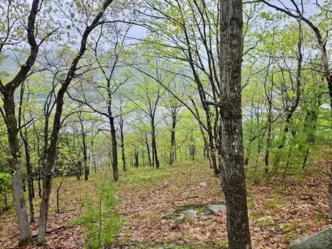 0 Off Langdon Road Charlestown NH 03603