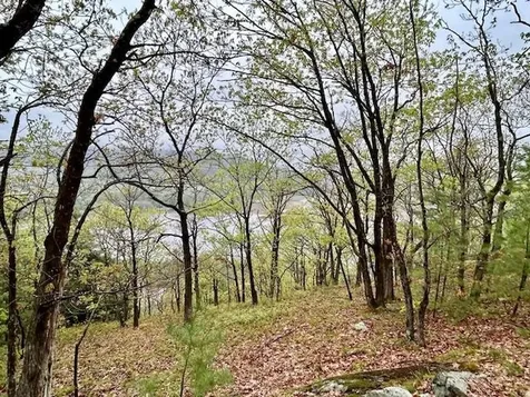 0 Off Langdon Road Charlestown NH 03603