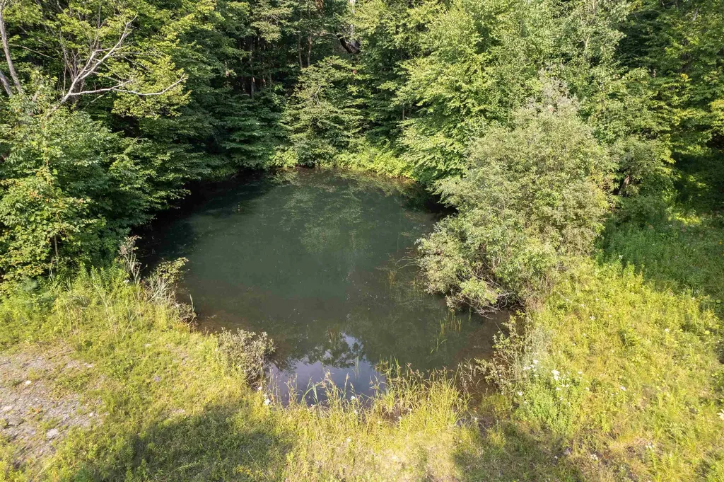 699 Old Maple Lane Danby VT 05739