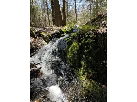 1006 Brownsville Road Moretown VT 05660