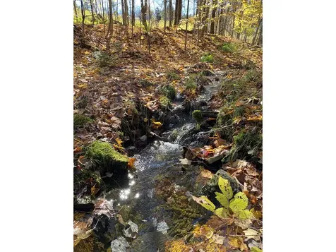1006 Brownsville Road Moretown VT 05660