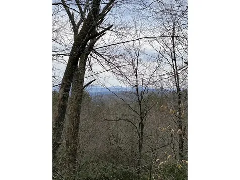 1006 Brownsville Road Moretown VT 05660