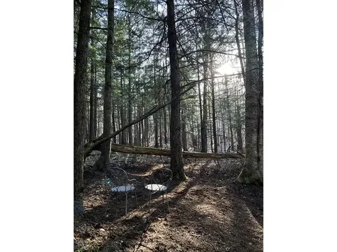 1006 Brownsville Road Moretown VT 05660