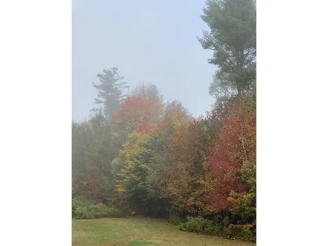 1006 Brownsville Road Moretown VT 05660