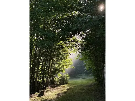 1006 Brownsville Road Moretown VT 05660