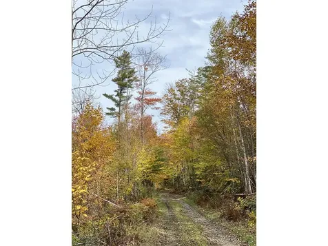 1006 Brownsville Road Moretown VT 05660