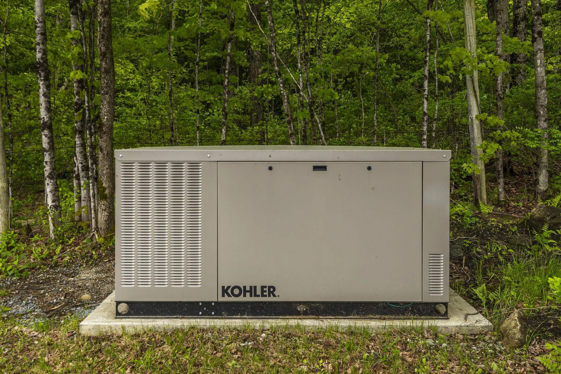 1640 Three Maple Drive Manchester VT 05255