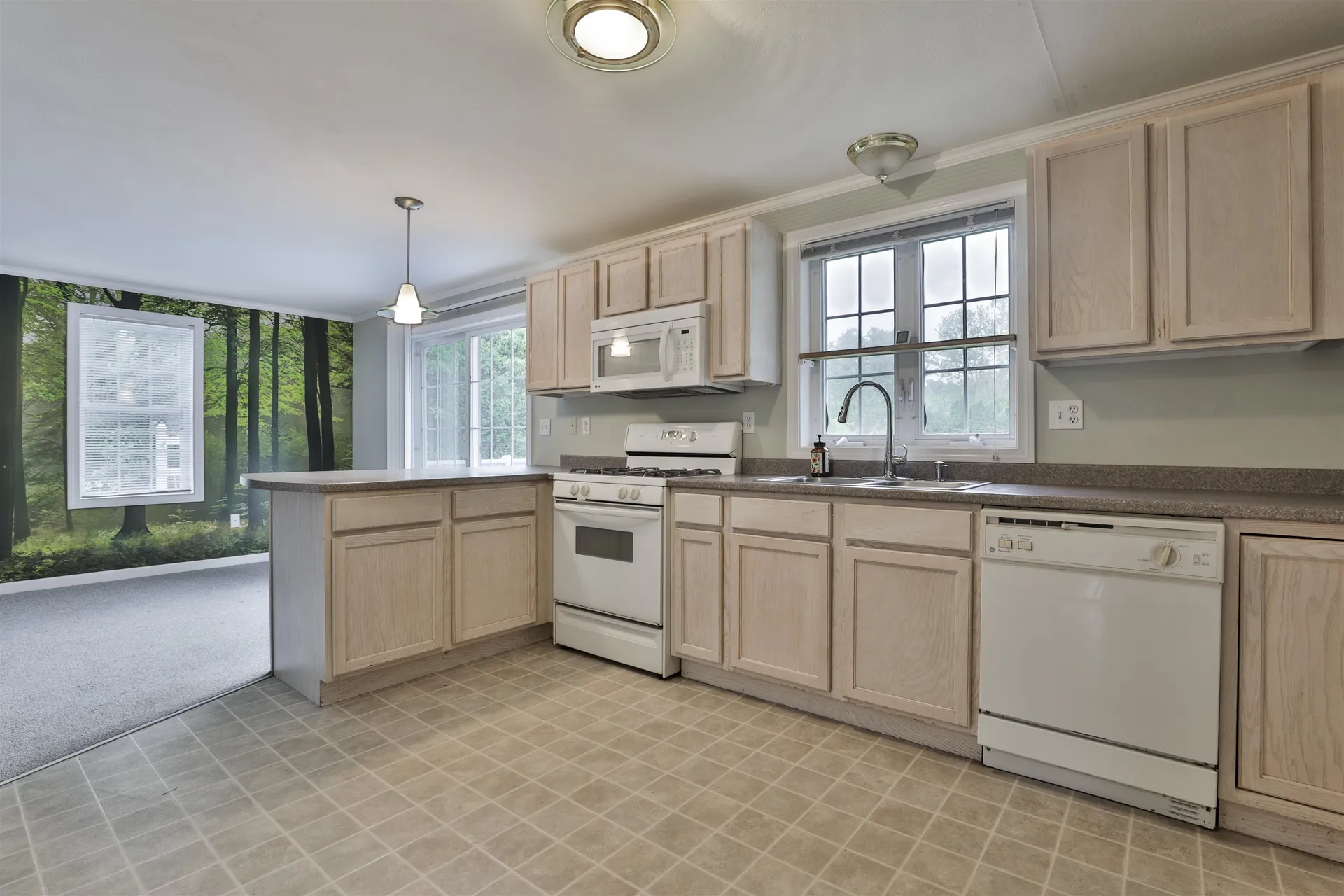 3 Ash Street Hudson NH 03051