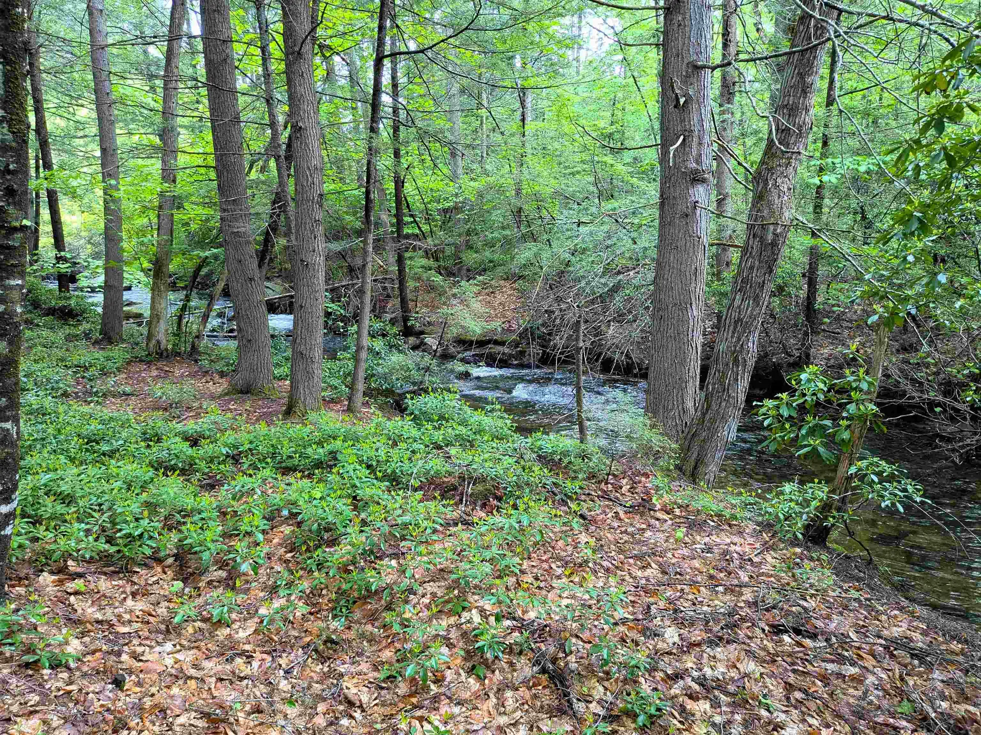 29 Bear Run Temple NH 03084