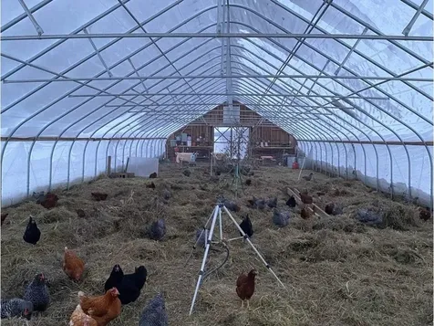 183 Morrie Road Washington VT 05675