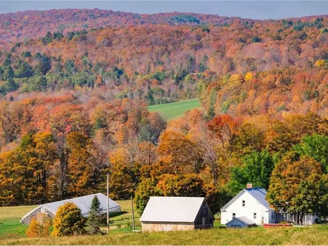 183 Morrie Road Washington VT 05675