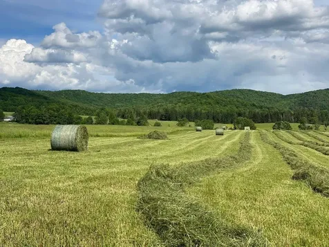 183 Morrie Road Washington VT 05675