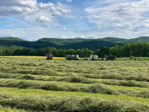 183 Morrie Road Washington VT 05675