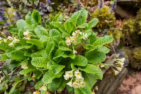 2834 Nh Route 175 Thornton NH 03285