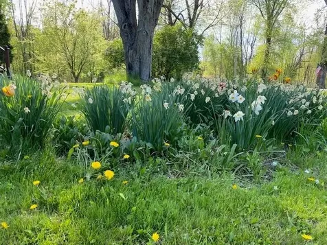 825 South End Road North Hero VT 05457