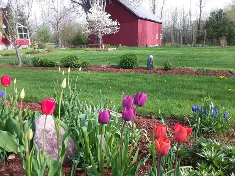 825 South End Road North Hero VT 05457