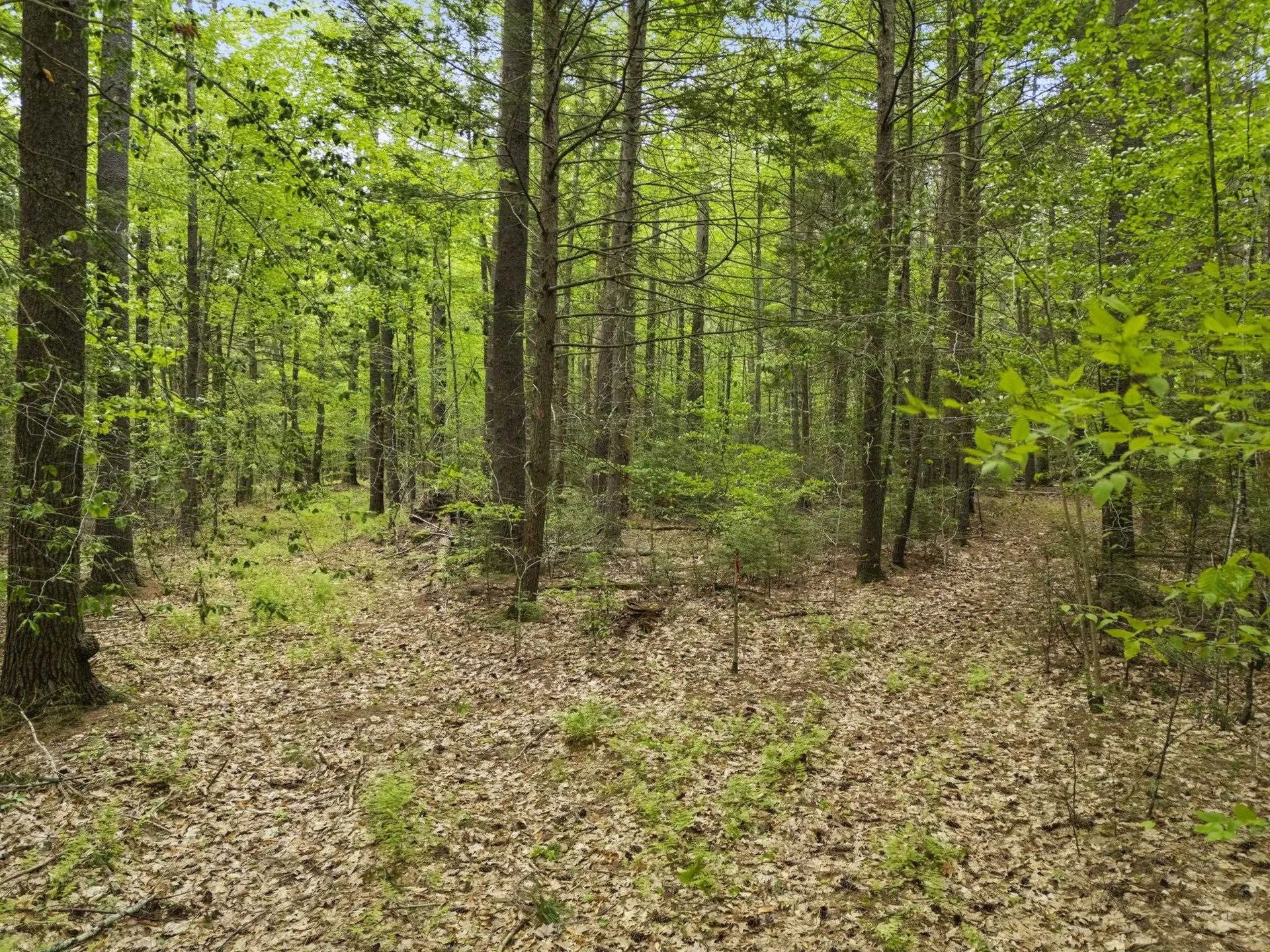 204 North Haverhill Road Kensington NH 03833