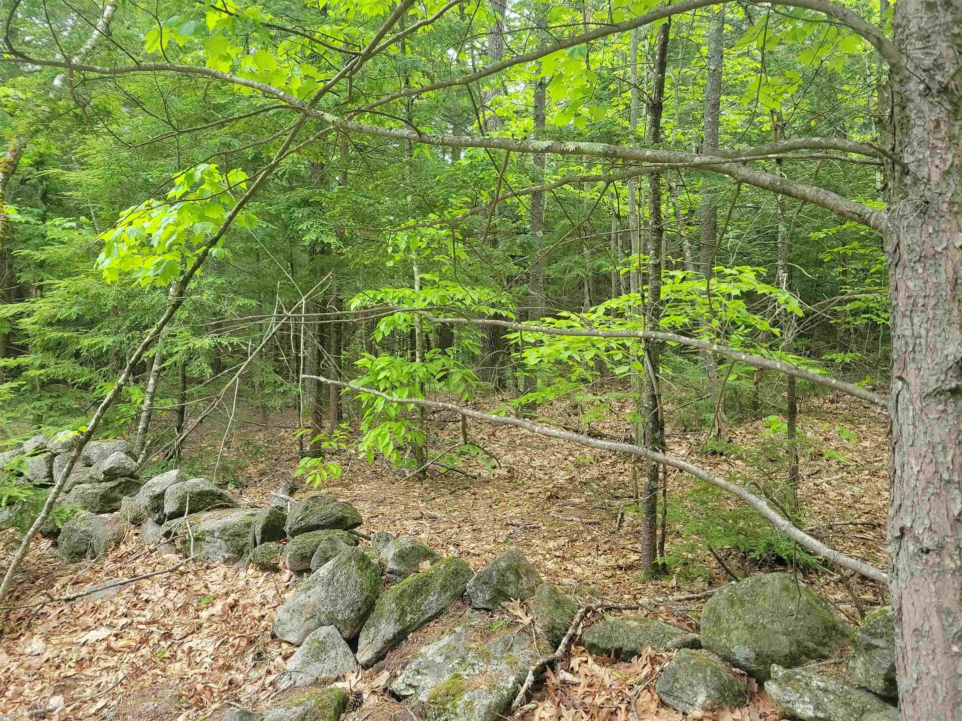 Lot 1-9 Old Turnpike Road Epsom NH 03234