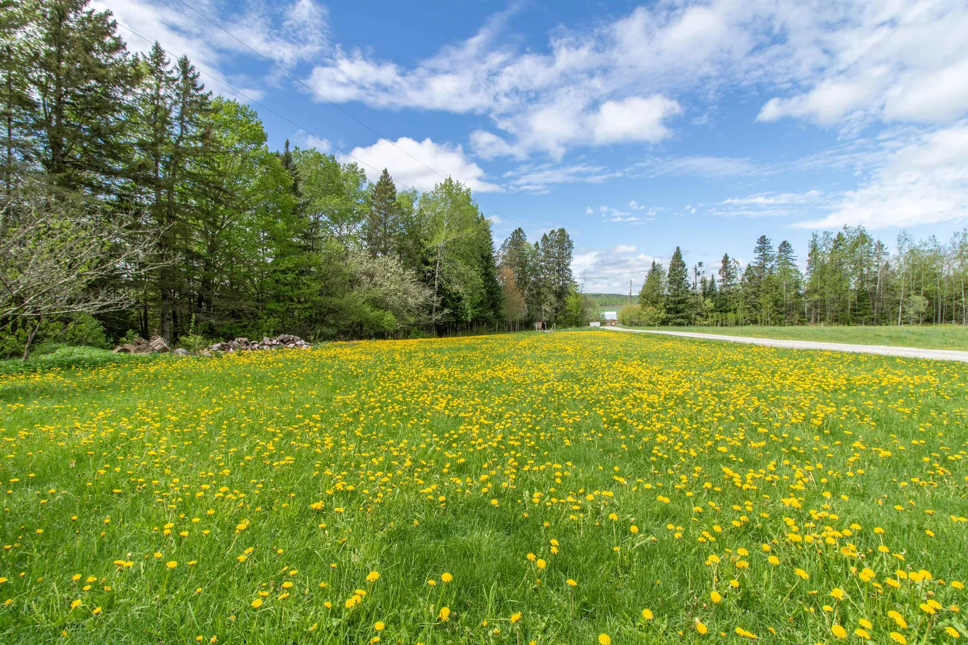 174 Andrews Road Holland VT 05830