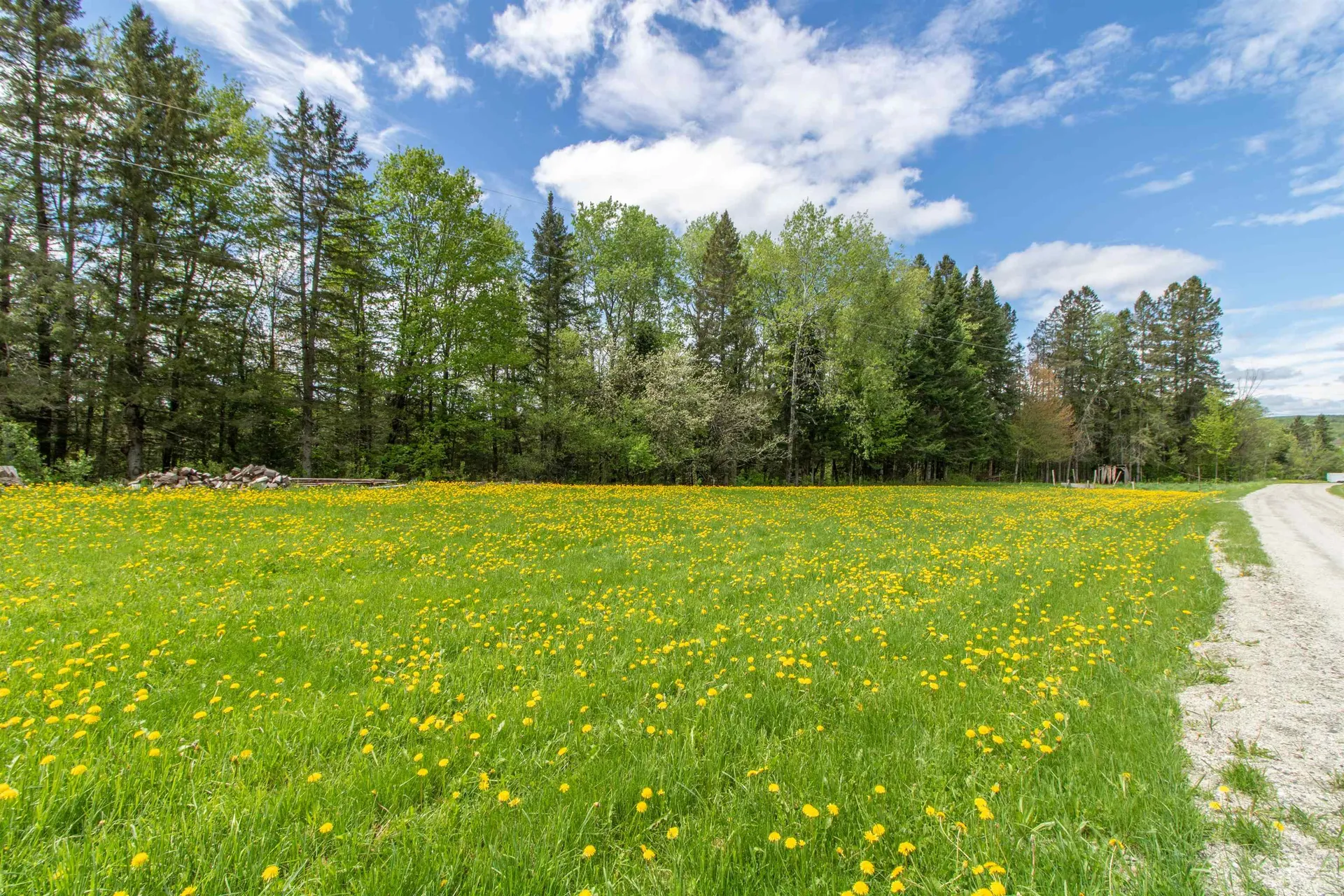 174 Andrews Road Holland VT 05830