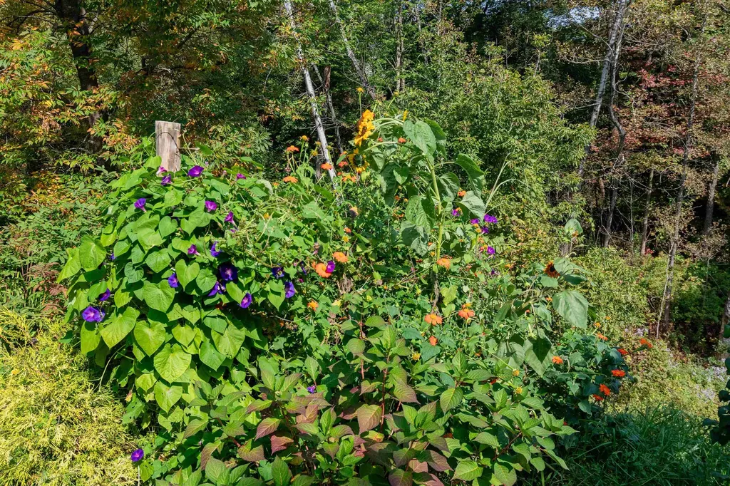 71 Scottsdale Road Newport City VT 05855