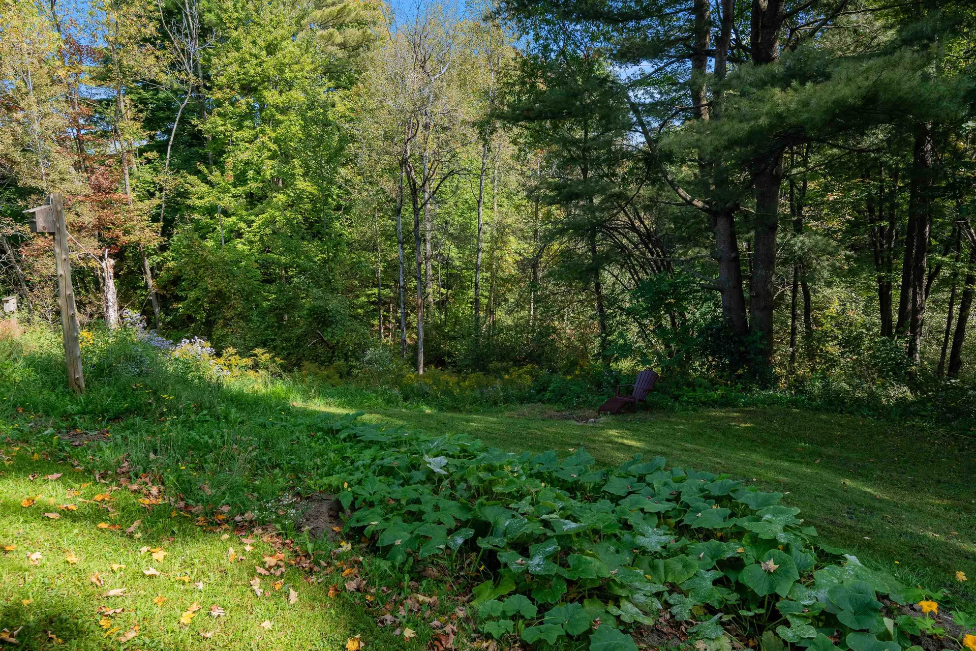 71 Scottsdale Road Newport City VT 05855