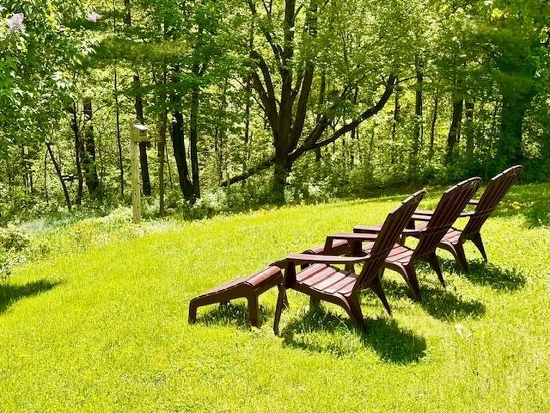 71 Scottsdale Road Newport City VT 05855