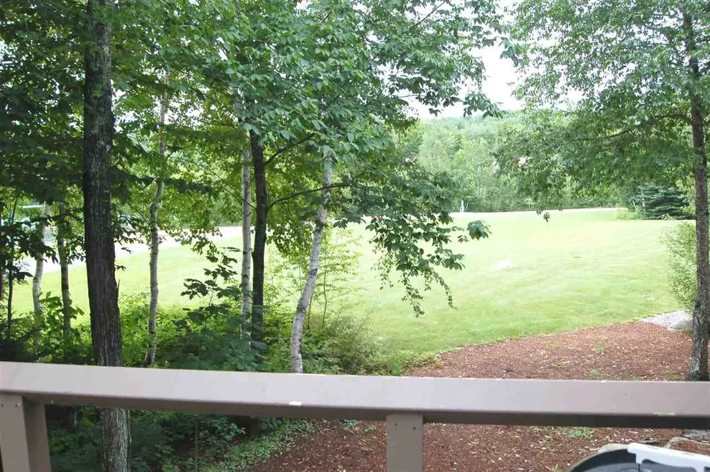 18 Island View Grantham NH 03753