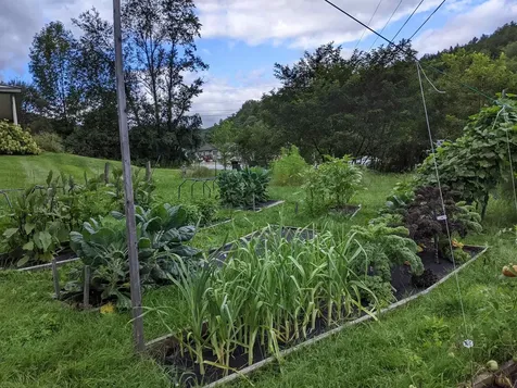 649 Hinesburg Hollow Road Huntington VT 05462