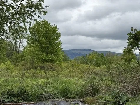 186 North Street New Haven VT 05472