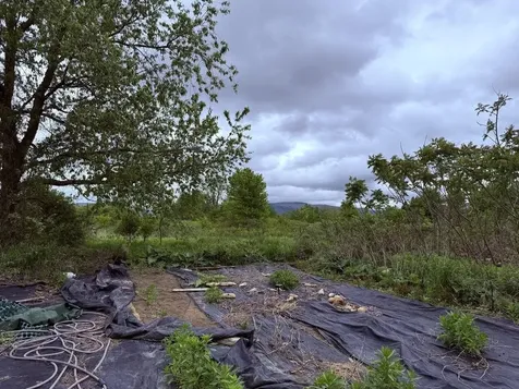 186 North Street New Haven VT 05472