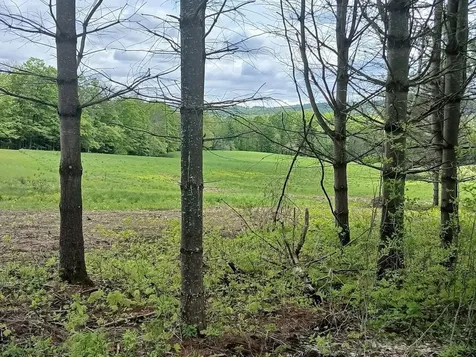 0 W. Cobble Hill Road Barre Town VT 05641