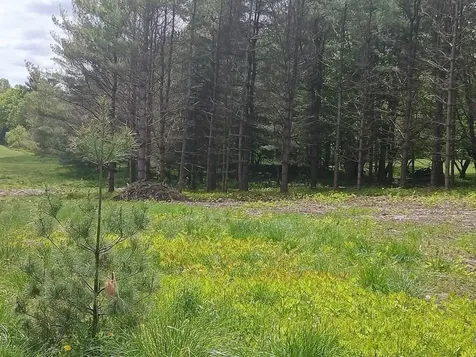 0 W. Cobble Hill Road Barre Town VT 05641