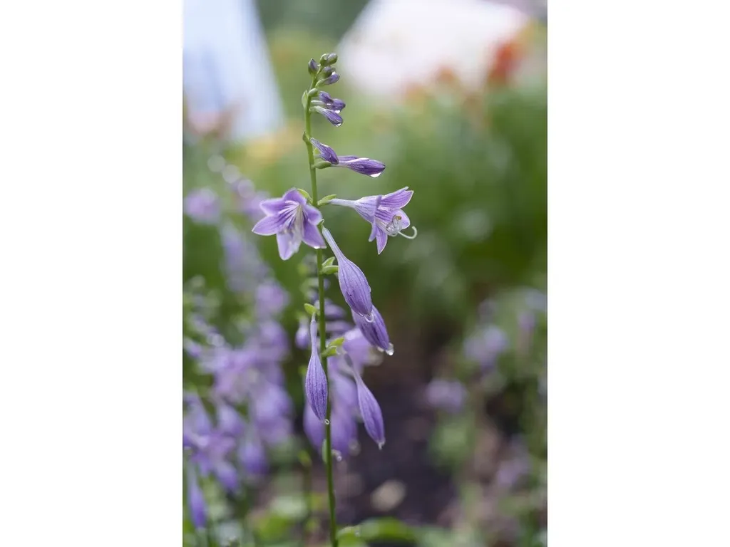 13 Butler Drive South Burlington VT 05403